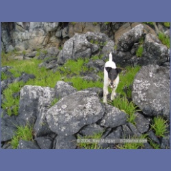 2004_6829_Mouat_Cove.html