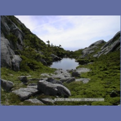 1998_970_Mount_Pender.html