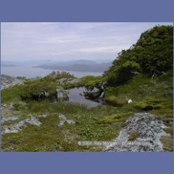 1998_972_Mount_Pender.html