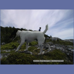 1998_979_Mount_Pender.html