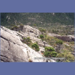 1998_mount_pender21.html