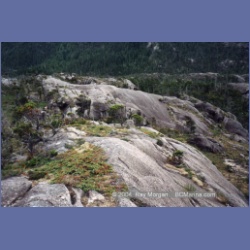 1998_mount_pender22.html