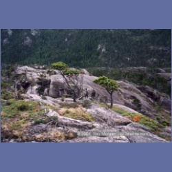 1998_mount_pender23.html