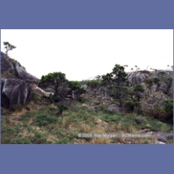 1998_mount_pender57.html