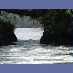 2003_2101_Nakwakto_Rapids_Seymour_Inlet.html