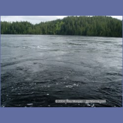 2003_2106_Nakwakto_Rapids_Seymour_Inlet.html