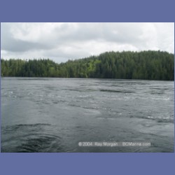 2003_2107_Nakwakto_Rapids_Seymour_Inlet.html