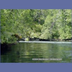 2003_2108_Nakwakto_Rapids_Seymour_Inlet.html