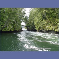 2003_2111_Nakwakto_Rapids_Seymour_Inlet.html