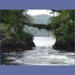 2003_2112_Nakwakto_Rapids_Seymour_Inlet.html