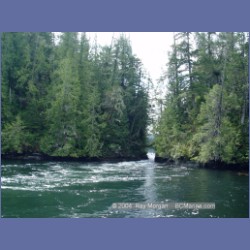 2003_2113_Nakwakto_Rapids_Seymour_Inlet.html