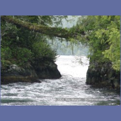 2003_2124_Nakwakto_Rapids_Seymour_Inlet.html