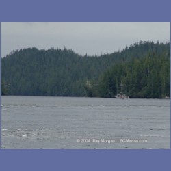2003_2129_Nakwakto_Rapids_Seymour_Inlet.html