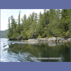 2003_2135_Nakwakto_Rapids_Seymour_Inlet.html