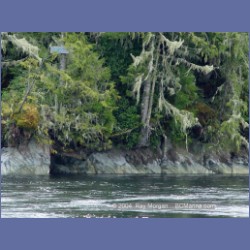 2003_2138_Nakwakto_Rapids_Seymour_Inlet.html