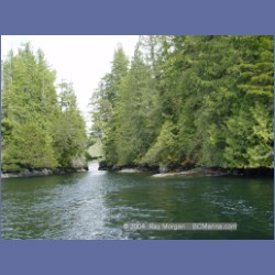 2003_2149_Nakwakto_Rapids_Seymour_Inlet.html