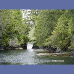 2003_2150_Nakwakto_Rapids_Seymour_Inlet.html