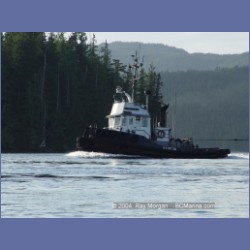 2004_8064_Nakwakto_Rapids.html