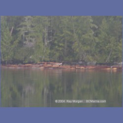 2004_8072_Vulture_Nakwakto_Rapids.html