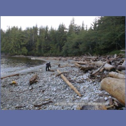 2002_402_Nasparti_Inlet.html