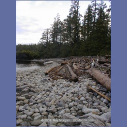 2002_407_Nasparti_Inlet.html