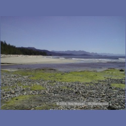 2002_411_Nasparti_Inlet.html