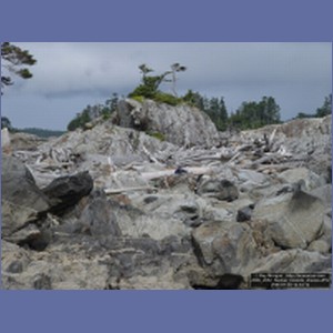 2006_2052_Necker_Islands_Alaska.JPG