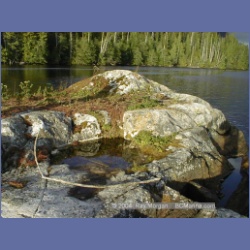2000_065_Nenahlmi_Lagoon.jpg