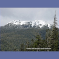 2003_2293_Nimpkish_Valley_Vancouver_Island.html