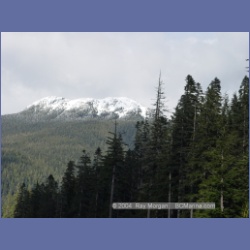 2003_2294_Nimpkish_Valley_Vancouver_Island.html