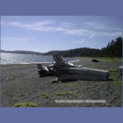 2002_231_Friendly_Cove_NootkaSound.html