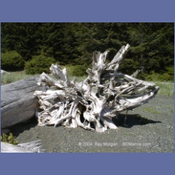 2002_233_Friendly_Cove_NootkaSound.html