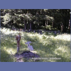 2002_239_Friendly_Cove_NootkaSound.html