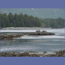 2003_3084_Nuchatlitz_Inlet.html