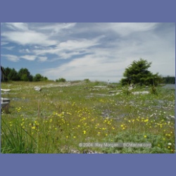 2003_3090_Nuchatlitz_Inlet.html