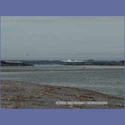 2003_3092_Nuchatlitz_Inlet.html