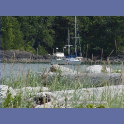 2003_3105_Nuchatlitz_Inlet.html