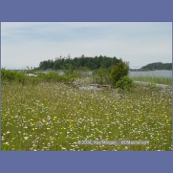 2003_3141_Nuchatlitz_Inlet.html