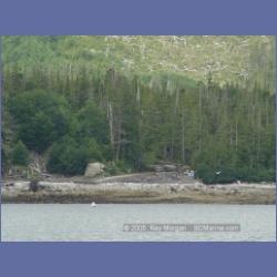 2005_1702_Oona_River_Porcher_Island.html