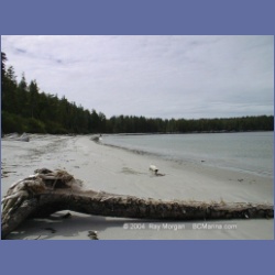 2000_089_Open_Bight.html