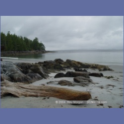 2004_6582_Open_Bight_Rivers_Inlet.html