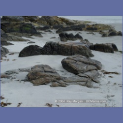 2004_6583_Open_Bight_Rivers_Inlet.html