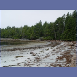 2004_6589_Open_Bight_Rivers_Inlet.html