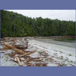 2004_6590_Open_Bight_Rivers_Inlet.html