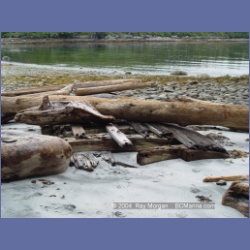 2004_6592_Open_Bight_Rivers_Inlet.html