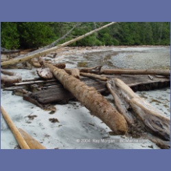 2004_6593_Open_Bight_Rivers_Inlet.html