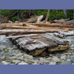 2004_6596_Open_Bight_Rivers_Inlet.html