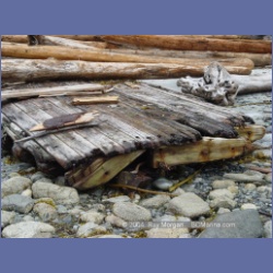 2004_6597_Open_Bight_Rivers_Inlet.html