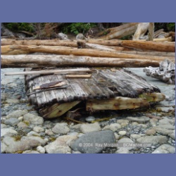 2004_6602_Open_Bight_Rivers_Inlet.html