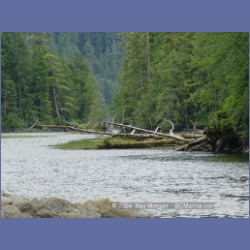 2003_3671_Power_River_Ououkinsh_Inlet.html